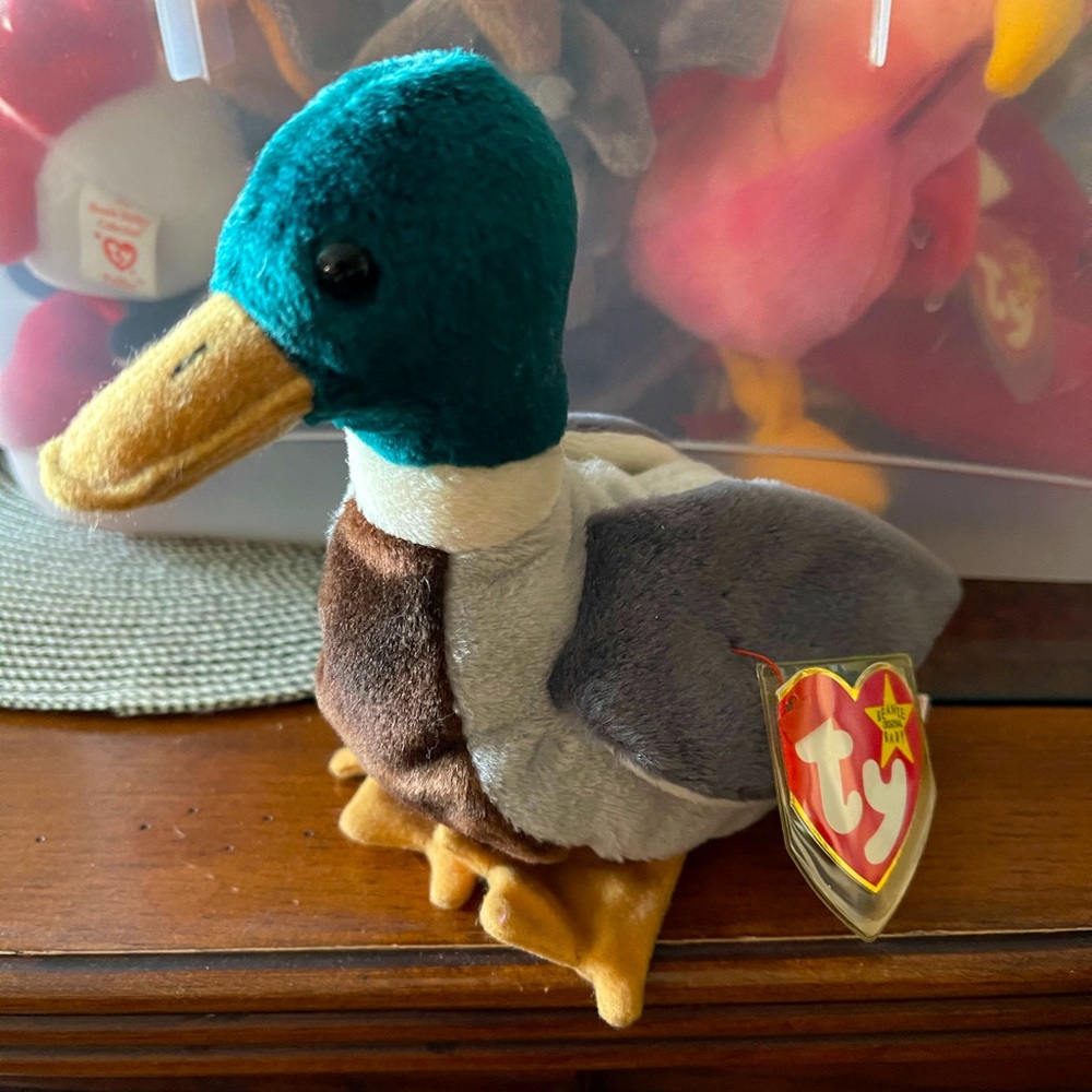 TY “ULTRA RARE” Jake Beanie Baby NEW MWMT